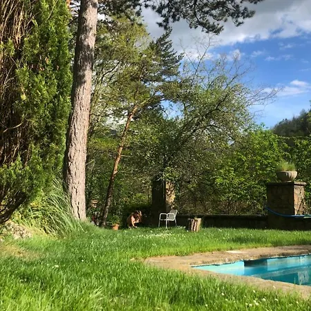El Petit Estudi - Els Del Bosc