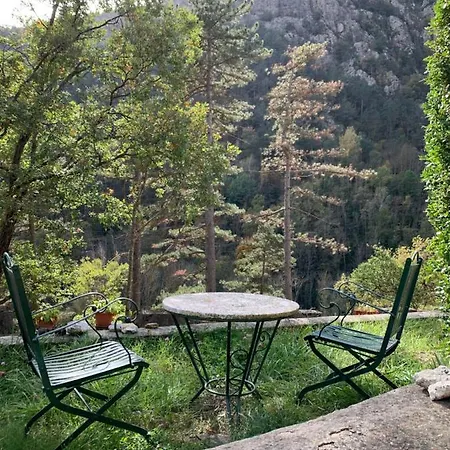 El Petit Estudi - Els Del Bosc * Ribes De Freser
