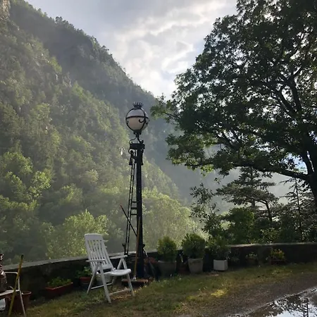 El Petit Estudi - Els Del Bosc *